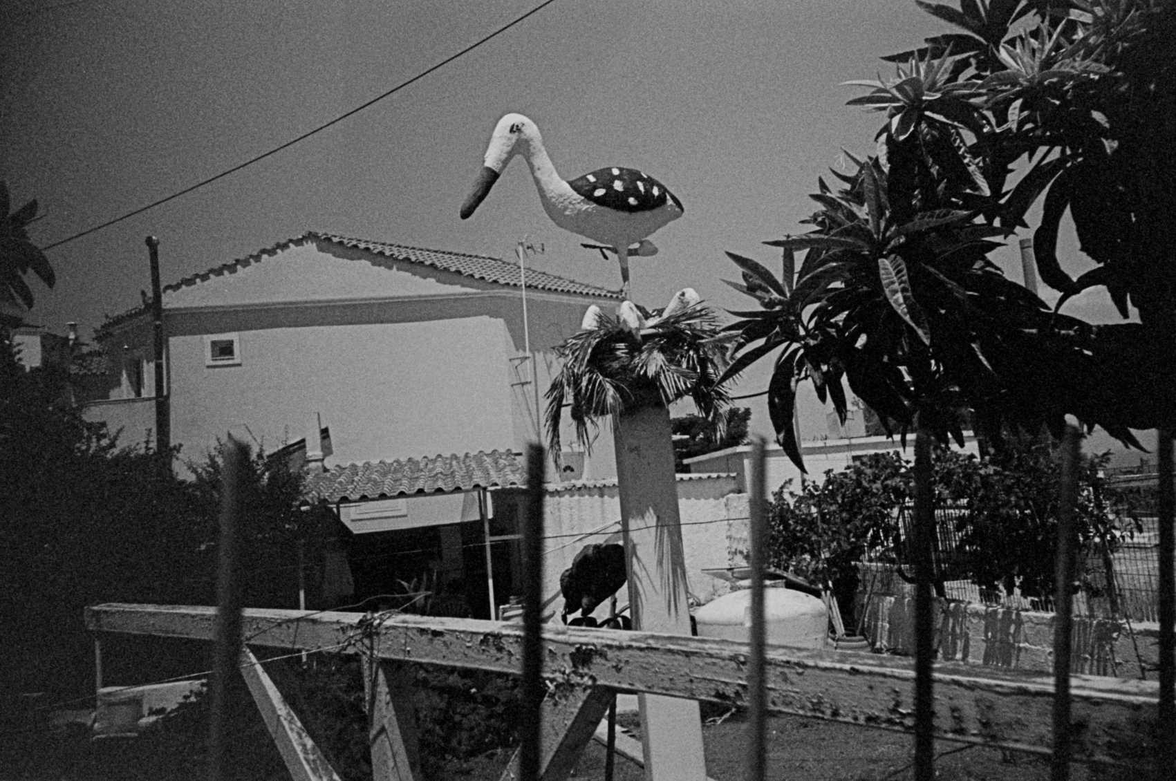 stork on a pole